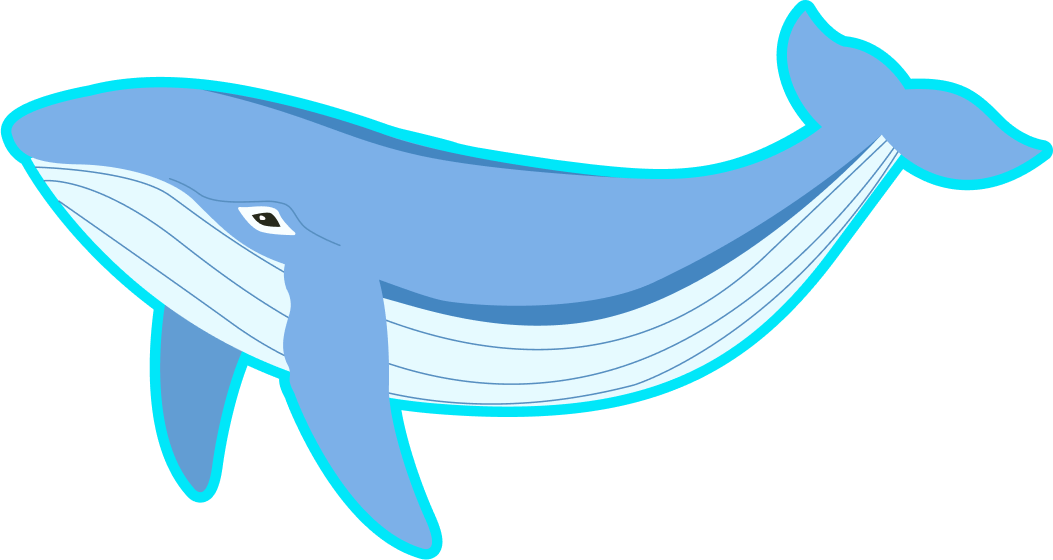 whale